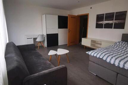 Wohnung Wolfschlugen - 1 Zimmer, 20 m&sup2;, 590&euro; | Angebot:25576425