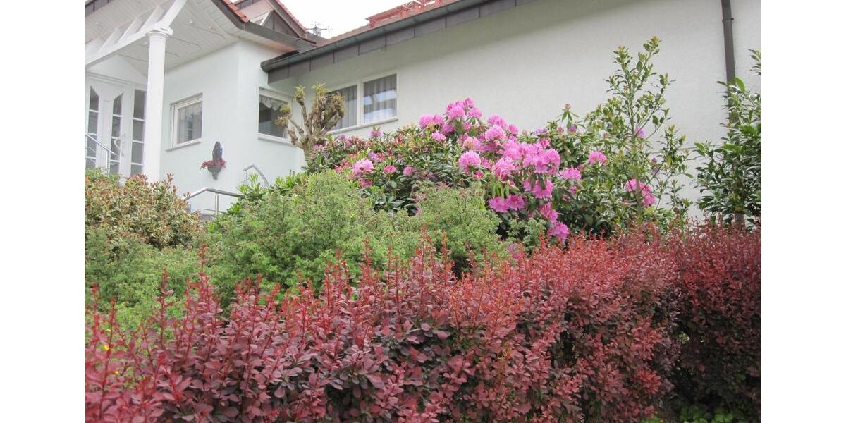 Erdgeschoßwohnung Ostelsheim - 1 Zimmer, 690&euro; | Angebot:22863986