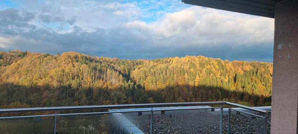 Terrassenwohnung Wildberg - 4 Zimmer, 144 m&sup2;, 399.000&euro; | Angebot:24745377