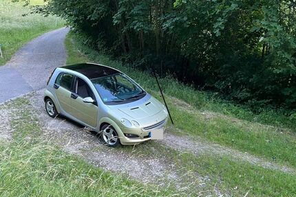 Smart ForFour 195.000 km 1.400 &euro; Reutlingen 72770