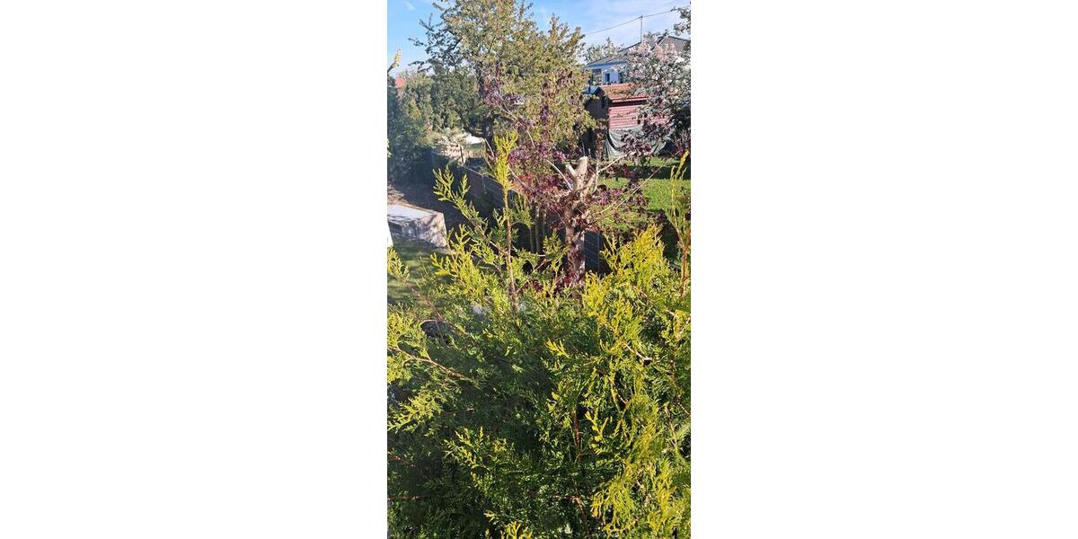Etagenwohnung Reutlingen Reutlingen (Kernstadt) - 2 Zimmer, 51 m&sup2;, 199.000&euro; | Angebot:26926479