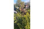 Etagenwohnung Reutlingen Reutlingen (Kernstadt) - 2 Zimmer, 51 m&sup2;, 199.000&euro; | Angebot:26926479