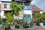 Einfamilienhaus Hülben - 5 Zimmer, 100 m&sup2;, 246.000&euro; | Angebot:26777173