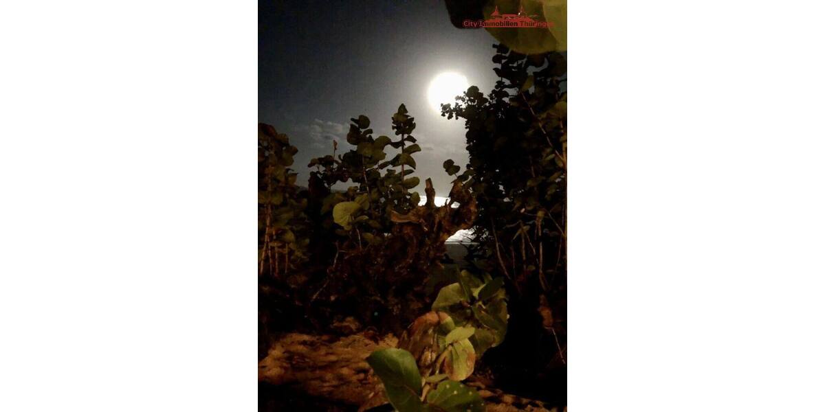 Grundstück in Costa Rica in einer der blauen Zonen der Erde - Grundstück Stuttgart | Angebot:6421932