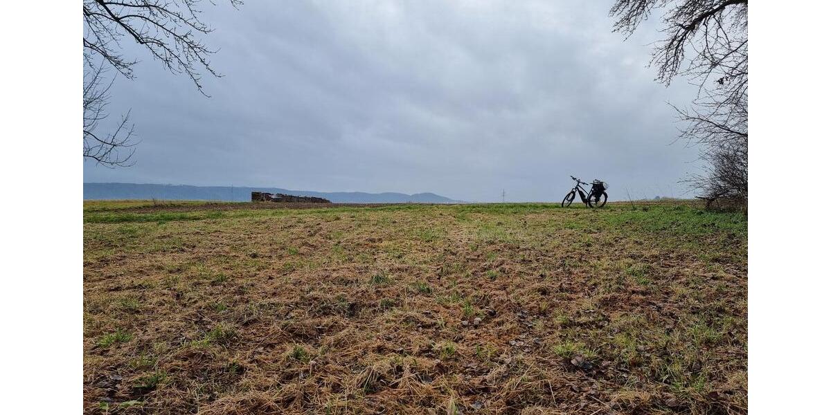 Erdgeschoßwohnung Rottenburg am Neckar - 3.5 Zimmer, 90 m&sup2;, 405.100&euro; | Angebot:25174782