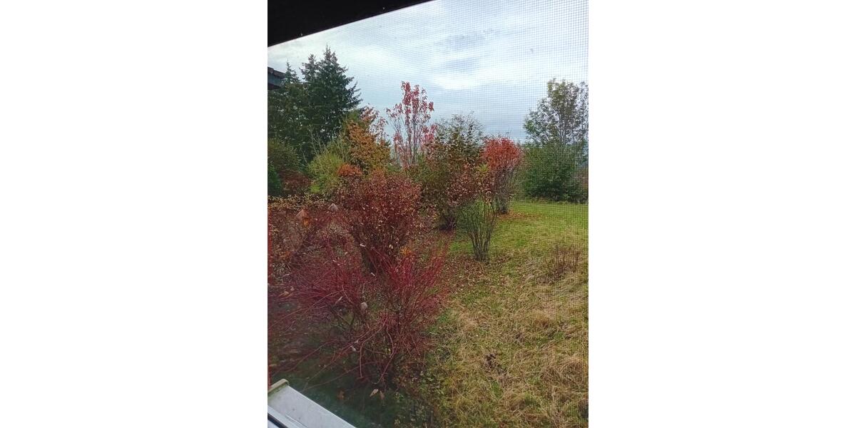 Gewerbeobjekt Haigerloch - 420&euro; | Angebot:25221004