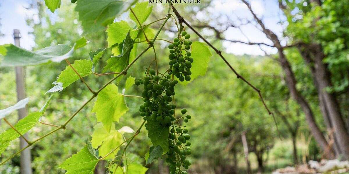 Grundstück Ostfildern Kemnat - 159.000&euro; | Angebot:25731508