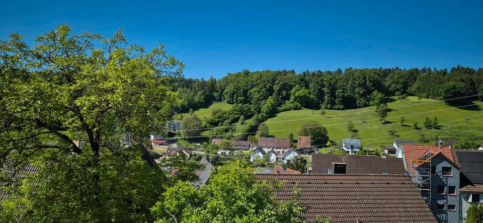 Einfamilienhaus Horb am Neckar - 13 Zimmer, 235 m&sup2;, 389.000&euro; | Angebot:27291428