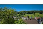 Einfamilienhaus Horb am Neckar - 13 Zimmer, 235 m&sup2;, 389.000&euro; | Angebot:27291428