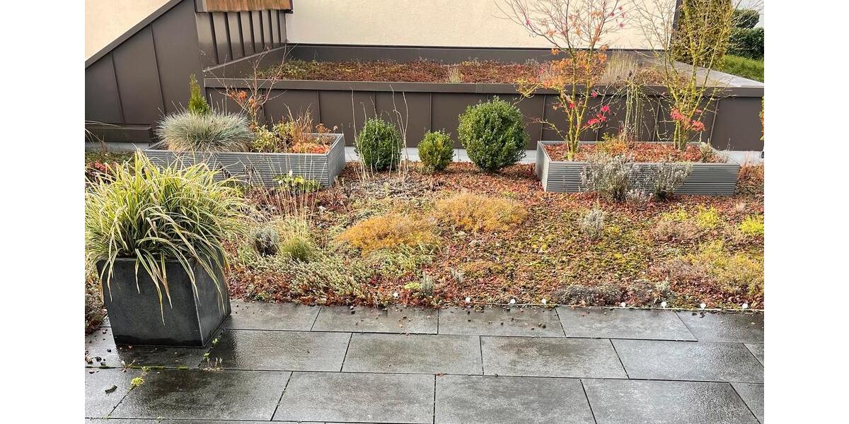 Etagenwohnung Ehningen - 2.5 Zimmer, 60 m&sup2;, 1.200&euro; | Angebot:24685761