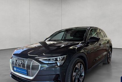 Audi e-tron 102.379 km 21.990 &euro; Reutlingen 72762