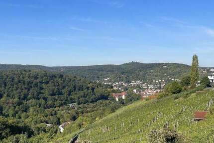 Wohnung Stuttgart Degerloch - 3 Zimmer, 83 m&sup2;, 1.660&euro; | Angebot:25941380