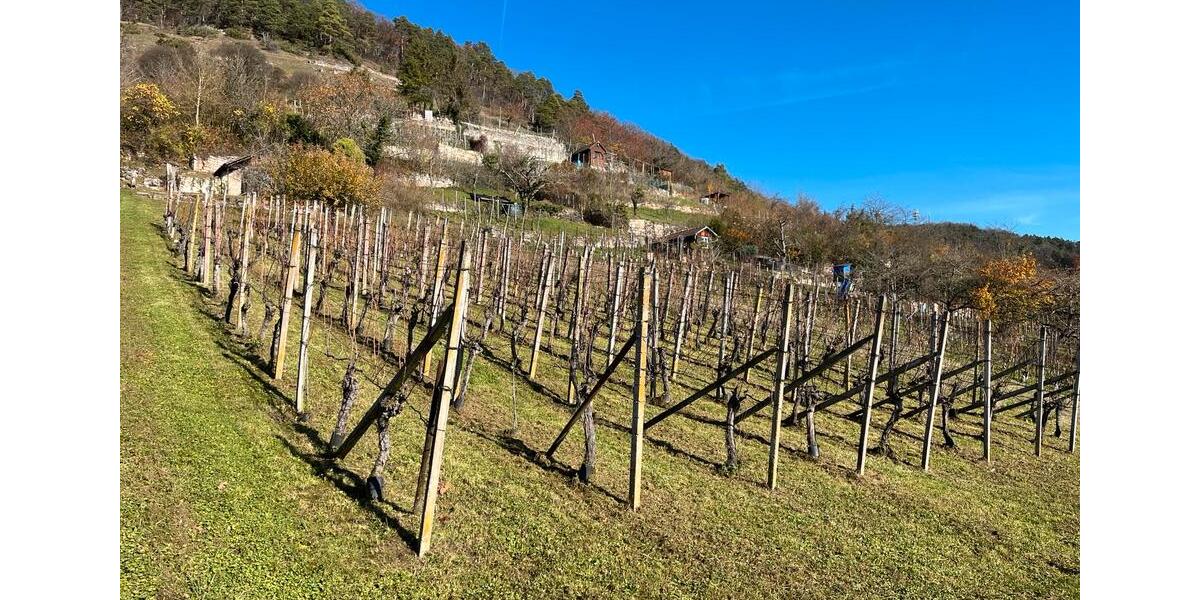 Grundstück Tübingen - 55.000&euro; | Angebot:24101823