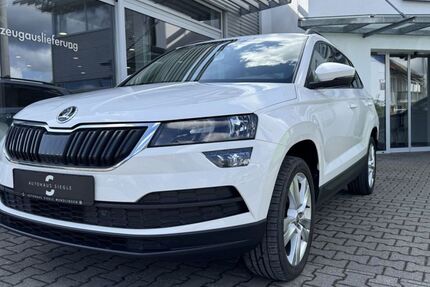 Skoda Karoq 99.888 km 18.480 &euro; Wendlingen am Neckar 73240
