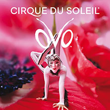 Cirque du Soleil - OVO 13.02.2027 Porsche-Arena