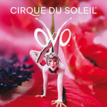 Komfort-Ticket - Cirque du Soleil - OVO