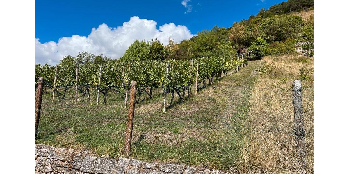Grundstück Tübingen - 55.000&euro; | Angebot:24101823