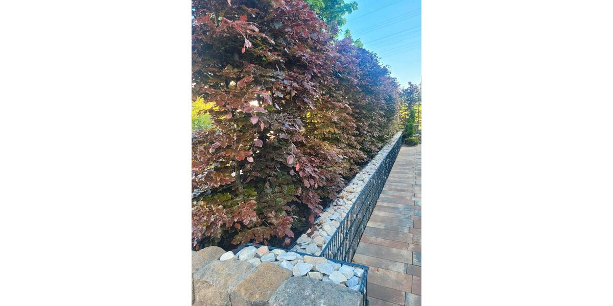 Einfamilienhaus Nagold - 5 Zimmer, 300 m&sup2;, 1.500.000&euro; | Angebot:26634552