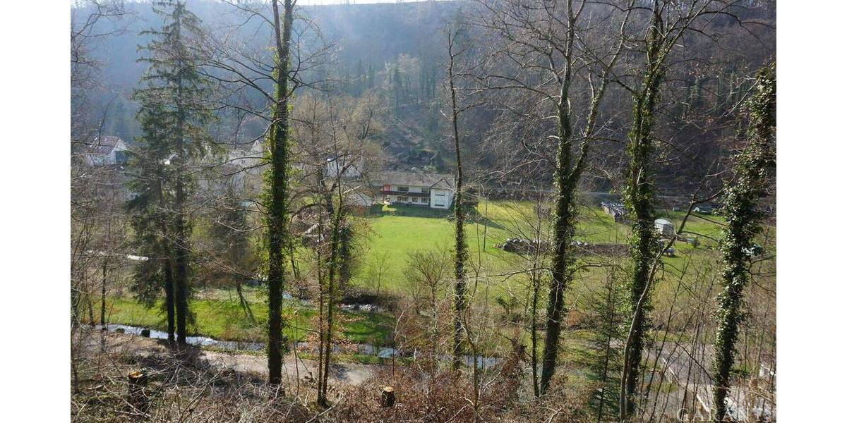 Mehrfamilienhaus, Wohnhaus Horb am Neckar Mühlen - 7 Zimmer, 213 m&sup2;, 469.000&euro; | Angebot:25929570