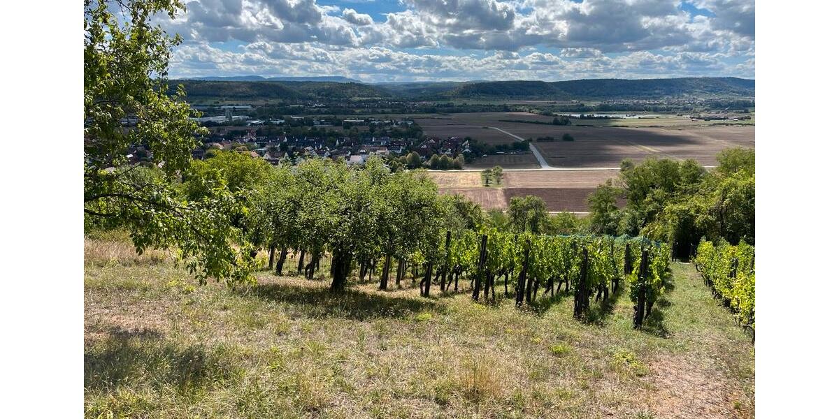 Grundstück Tübingen - 55.000&euro; | Angebot:24101823