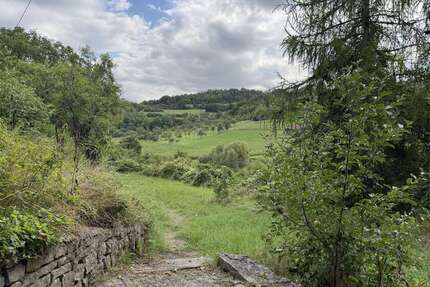 Haus Grafenau - 6 Zimmer, 120 m&sup2;, 450.000&euro; | Angebot:25988889