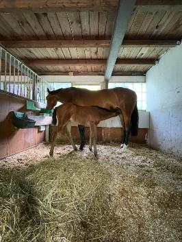 Einfamilienhaus Herrenberg - 1.290.000&euro; | Angebot:25126404