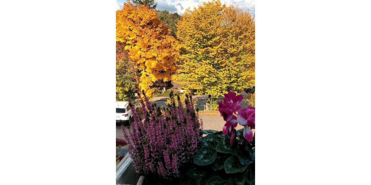 Mehrfamilienhaus, Wohnhaus Nagold - 5 Zimmer, 160 m&sup2;, 495.000&euro; | Angebot:25637087