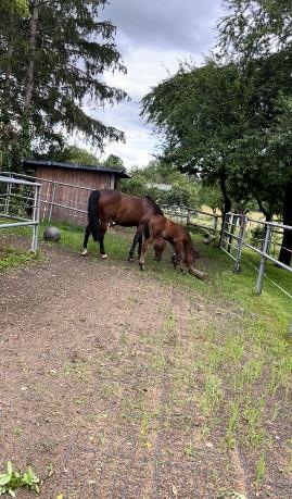 Einfamilienhaus Herrenberg - 1.290.000&euro; | Angebot:25126404